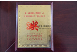 建設(shè)者獎(jiǎng)